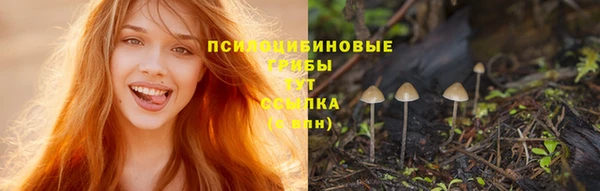 синтетический гашиш Михайлов