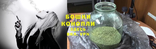 тгк Мегион