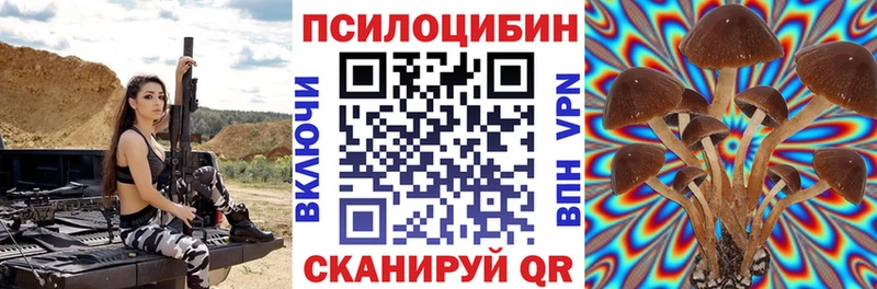Галлюциногенные грибы MAGIC MUSHROOMS  сколько стоит  Белгород 