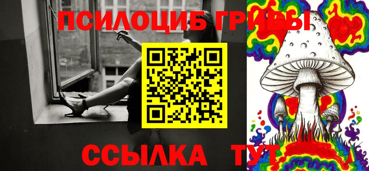 Псилоцибиновые грибы мицелий Белгород