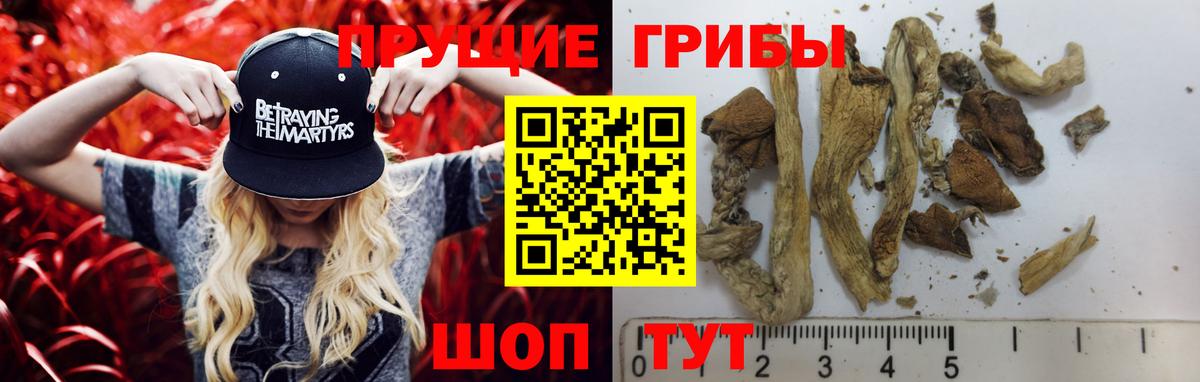 Псилоцибиновые грибы Psilocybine cubensis  Вход с VPN  Галлюциногенные грибы прущие грибы  Белгород 