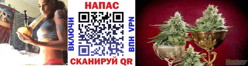 наркошоп Белгород Марихуана THC 21%