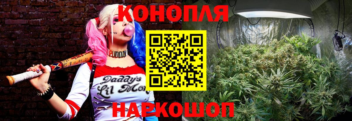 Конопля тримм Белгород